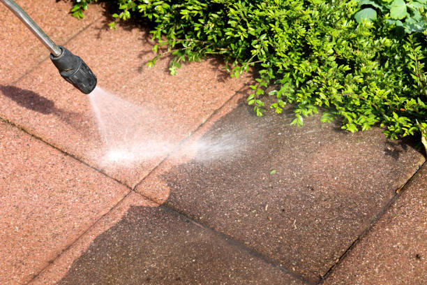 Best Roof Pressure Washing  in Remsenburg Speonk, NY